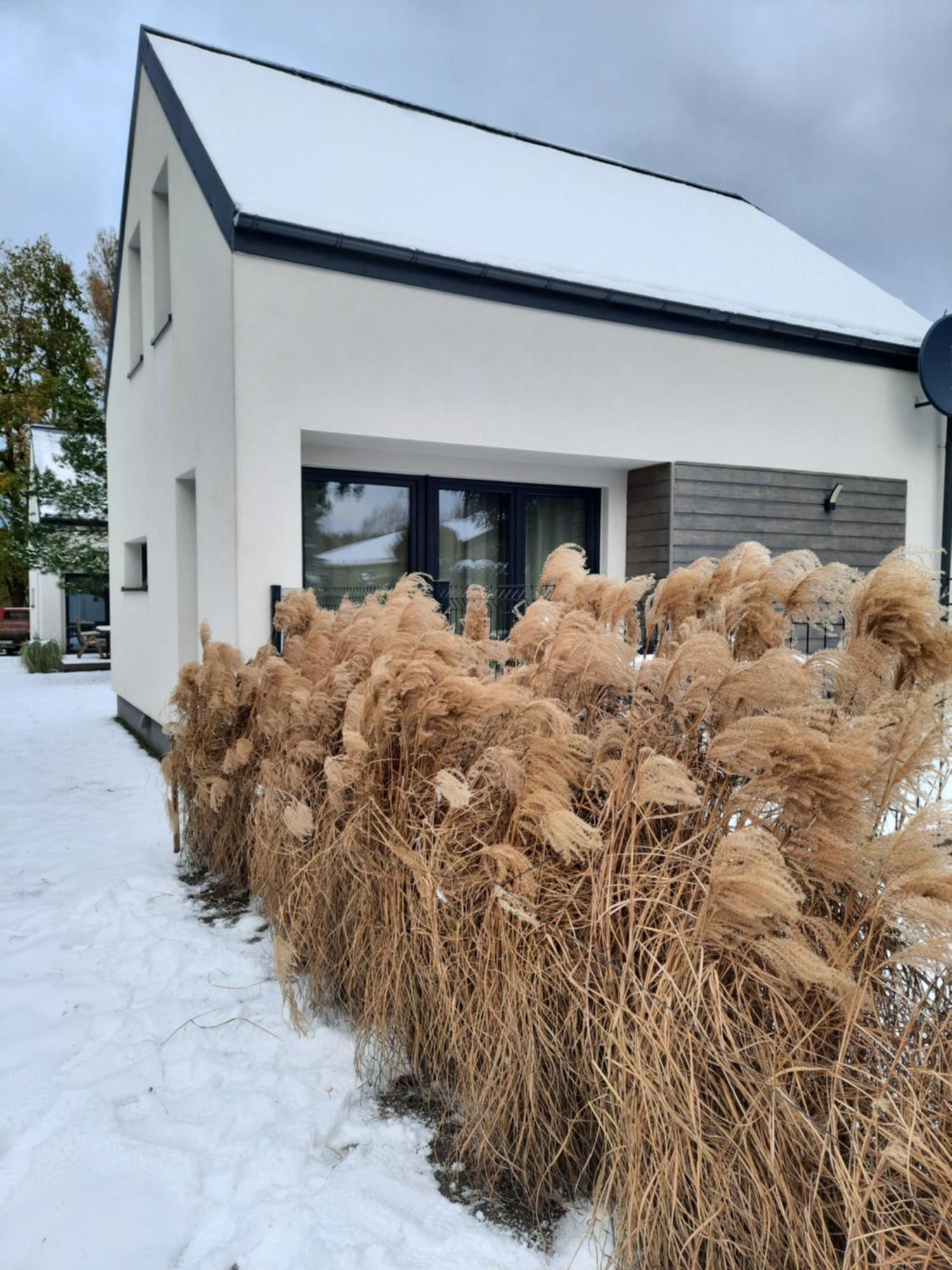 Sosnowe Zacisze Villa Sasino Eksteriør bilde